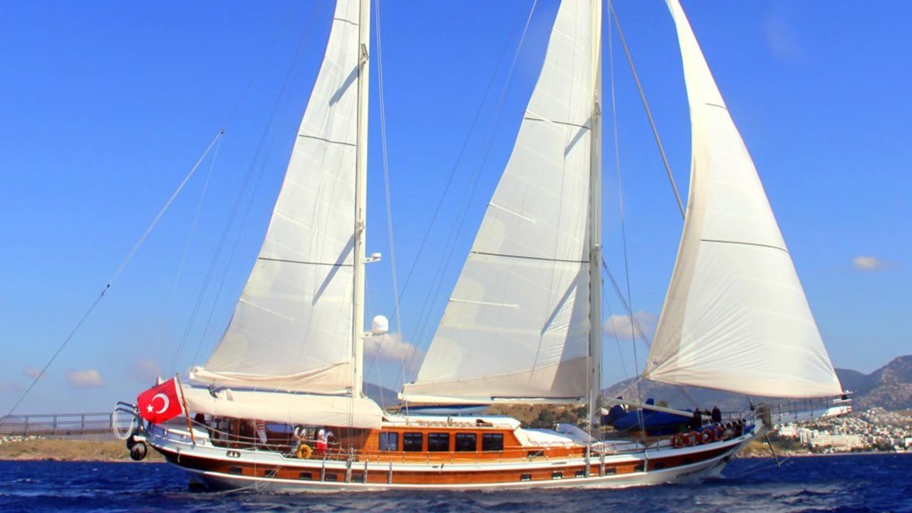 cevrihasan5
